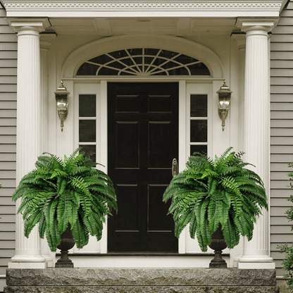 🍀Last Day 75% OFF--UV Resistant Lifelike Artificial Boston Fern🍀