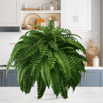 🍀Last Day 75% OFF--UV Resistant Lifelike Artificial Boston Fern🍀