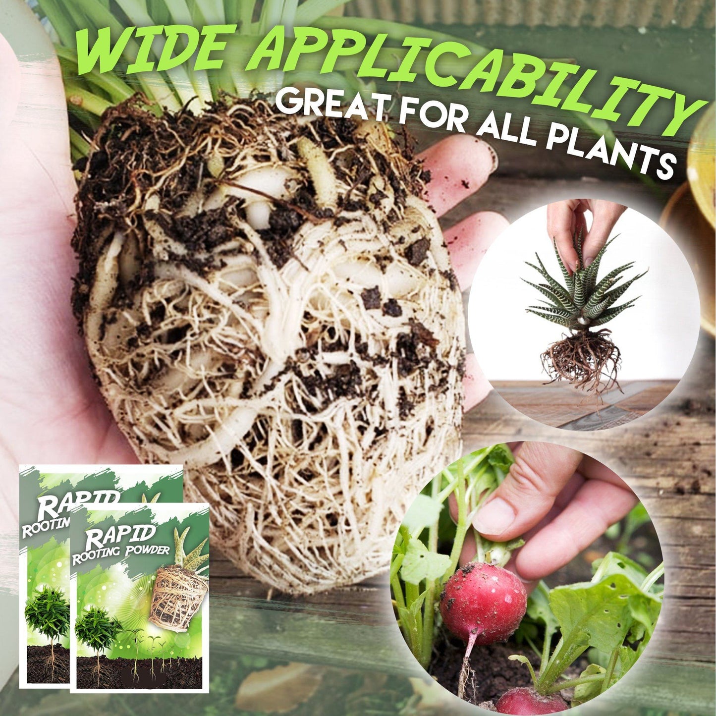 Rapid Rooting Powder