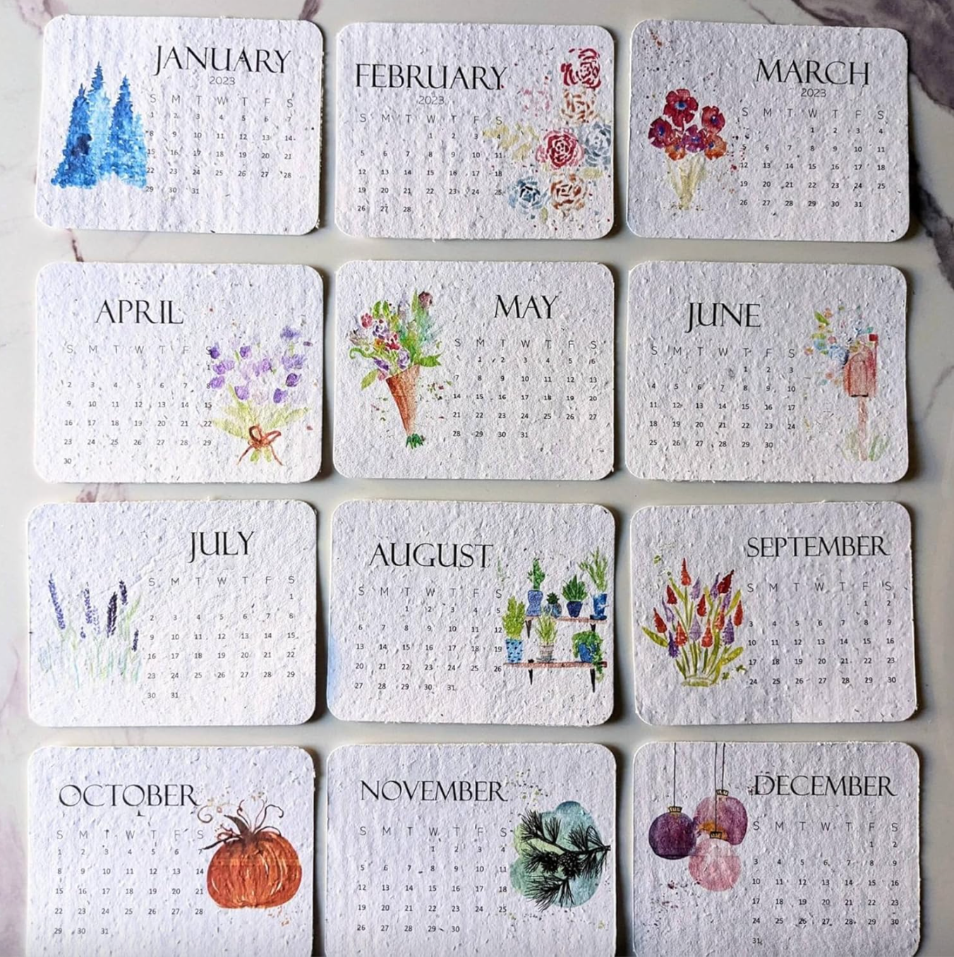 2025 Eco-Friendly Plantable Seed Calendar 🇺🇸 Cultivated and Shipped from USA