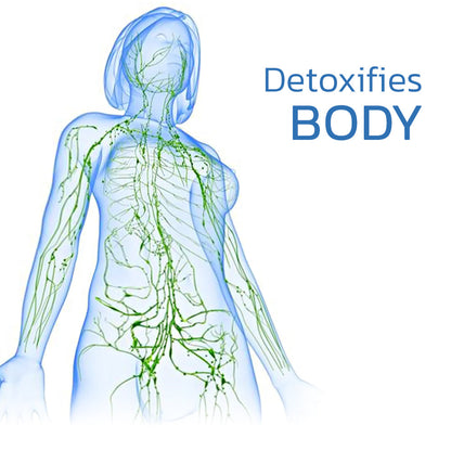 EMS Neck Acupoints Lymphvity Massager Device AY OT_blesswil_Httpool 