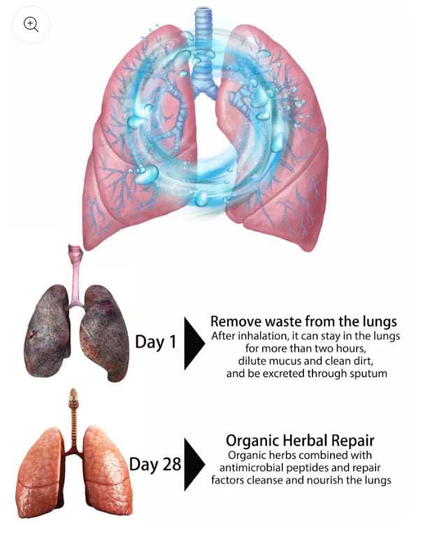 Organicc Herbal Lung Cleanse Repair Nasal Spray